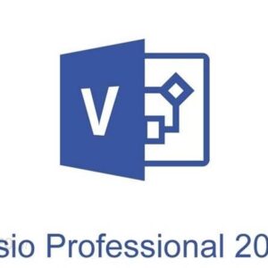 Microsoft Visio Professional 2019 PL