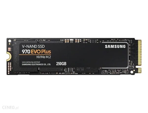 Samsung 970 Evo Plus 250GB M.2 (MZ-V7S250BW)