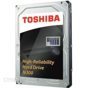 Toshiba N300 10TB 3