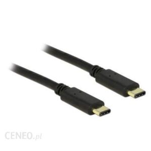 Delock USB C-USB C M/M 2m Czarny (83332)