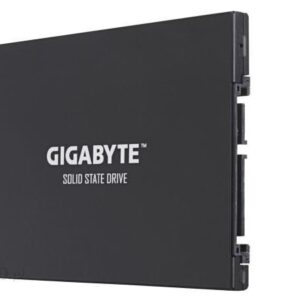 GIGABYTE UD PRO 256GB (GP-GSTFS30256GTTD)