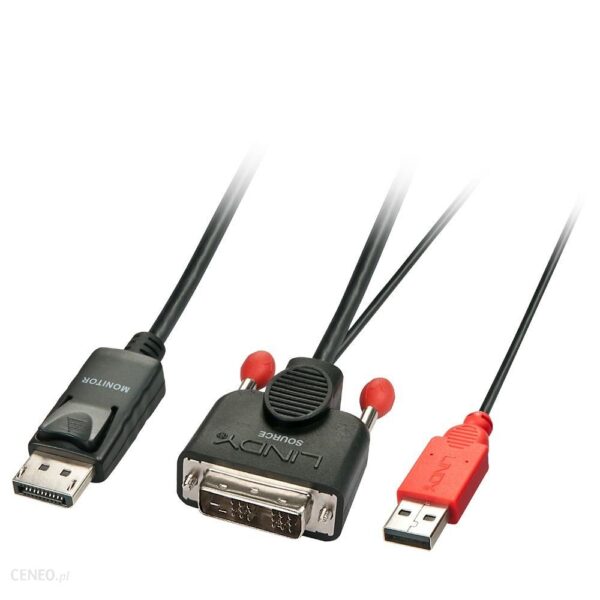 Lindy 41976 Kabel DVI-D/Display Port ze Złączem USB 1m (LY41976)