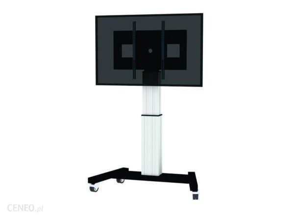 Newstar Mobile Flatscreen Floor Stand (PLASMAM2500BLACK)