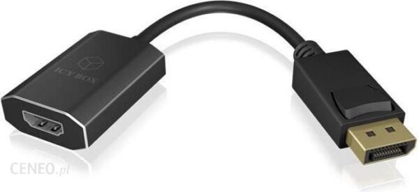 RaidSonic DisplayPort HDMI Czarny (IB-AD508)