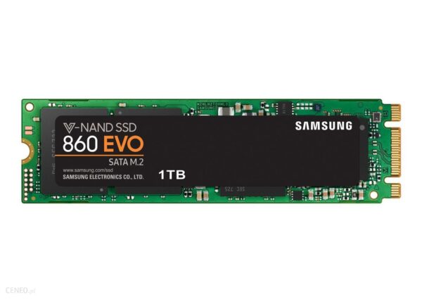 Samsung 860 EVO 1TB M.2 (MZ-N6E1T0BW)