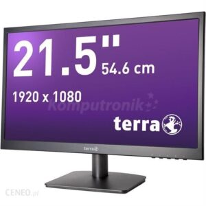 Monitor Terra 21
