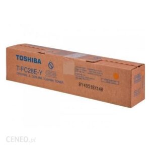 Toshiba T-FC28E-Y