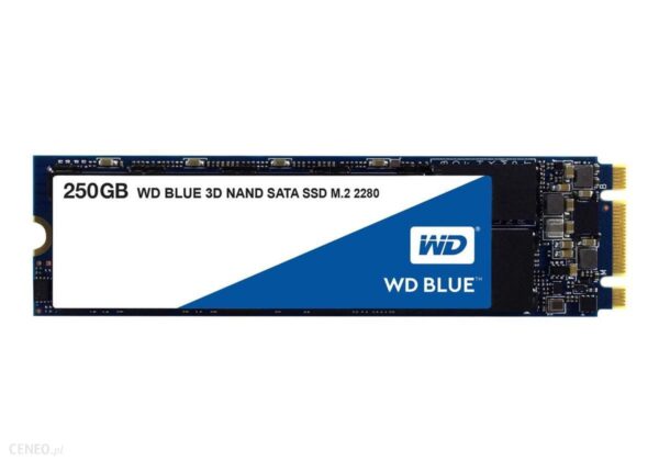 WD Blue SSD M.2 250GB (WDS250G2B0B)